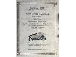 Inhand Equine Therapy - tina certificate (1)