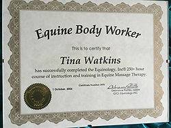 Inhand Equine Therapy - tina certificate (10)