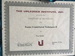 tina certificate (14)