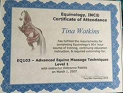 Inhand Equine Therapy - tina certificate (17)