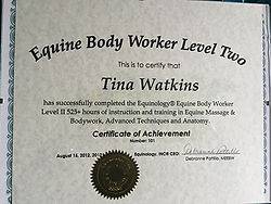 Inhand Equine Therapy - tina certificate (18)