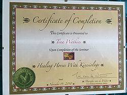 tina certificate (19)