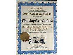 Inhand Equine Therapy - tina certificate (2)