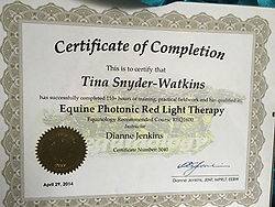 Inhand Equine Therapy - tina certificate (23)