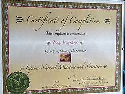 Inhand Equine Therapy - tina certificate (25)