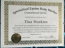 Inhand Equine Therapy - tina certificate (26)