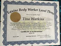 Inhand Equine Therapy - tina certificate (27)