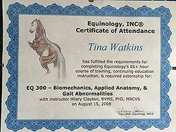 Inhand Equine Therapy - tina certificate (30)