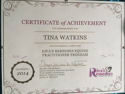 Inhand Equine Therapy - tina certificate (7)